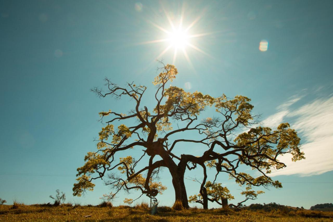 Big Valley Fazenda Farm stay *