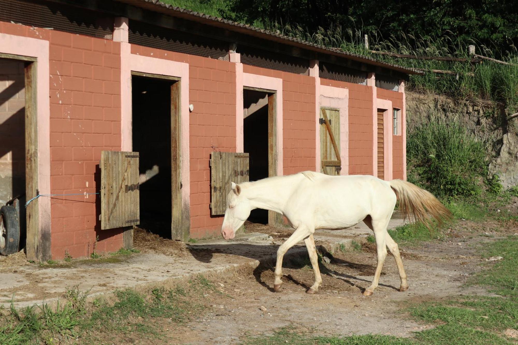 Farm stay Big Valley Fazenda *